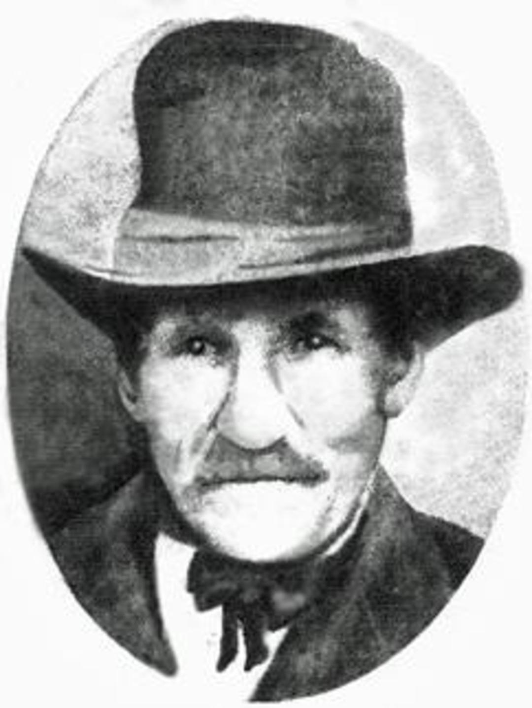 William Stokes (1822 - 1899) Profile